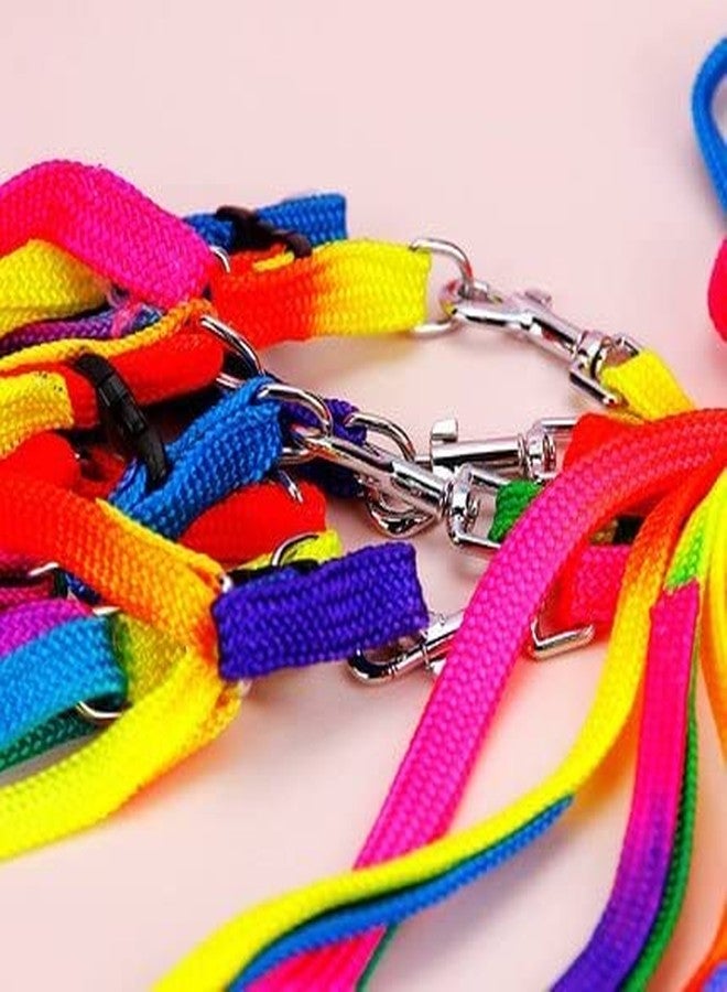 Pups&Pets Bird Rainbow Color Harness and Leash Set | Safe Adjustable Harness with Buckle | Long 47inch Anti bite Training Rope Leash for Macaw & Large Size Birds (Width - 10MM) - Image 2